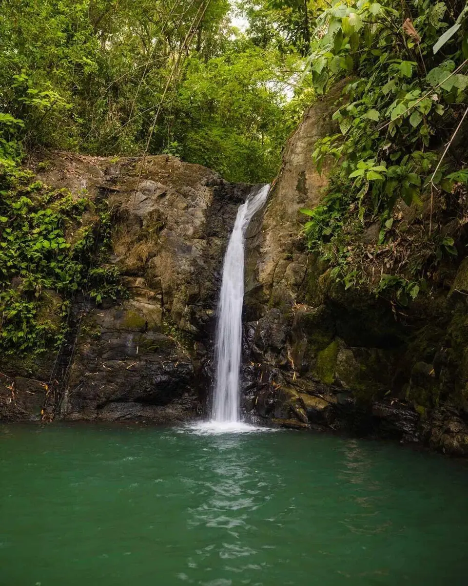 Rainforest waterfall